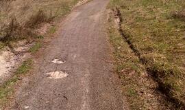 Naikinamas dviračių takas