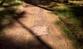 Naikinamas dviračių takas