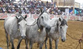 Kolumbija, mano meile