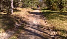 Naikinamas dviračių takas