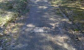 Naikinamas dviračių takas