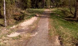 Naikinamas dviračių takas