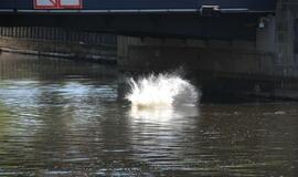 Girti jaunuoliai šokinėjo nuo Biržos tilto