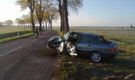 "Audi" rėžėsi į pakelės medį