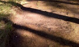 Naikinamas dviračių takas