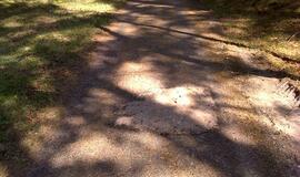 Naikinamas dviračių takas