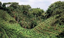 Kolumbija, mano meile