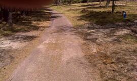 Naikinamas dviračių takas