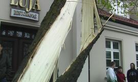 Jauną vairuotoją sustabdė medis