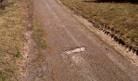 Naikinamas dviračių takas