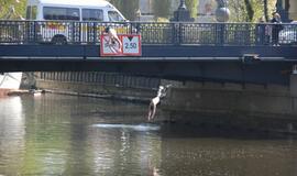 Girti jaunuoliai šokinėjo nuo Biržos tilto
