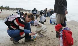 Pajūrį barstė gintarais dosni Neptūno sauja