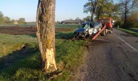 "Audi" rėžėsi į pakelės medį