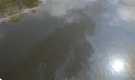 Danės upėje pastebėtos teršalų dėmės