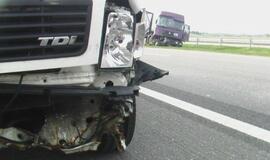 Susidūrimas baigėsi be kraujo