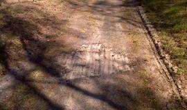 Naikinamas dviračių takas