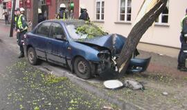 Jauną vairuotoją sustabdė medis