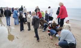 Pajūrį barstė gintarais dosni Neptūno sauja