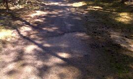 Naikinamas dviračių takas