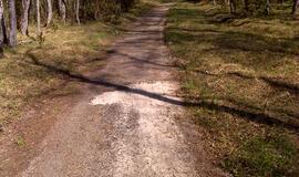 Naikinamas dviračių takas