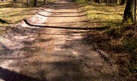 Naikinamas dviračių takas