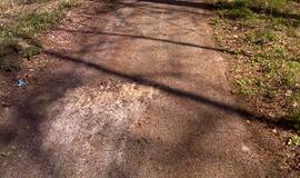 Naikinamas dviračių takas