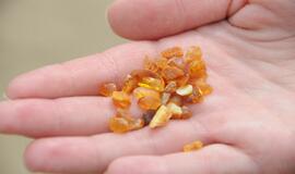 Pajūrį barstė gintarais dosni Neptūno sauja