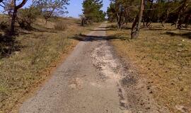 Naikinamas dviračių takas