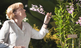 Angelos Merkel vardu pavadinta nauja orchidėjų rūšis