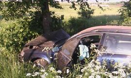 "Audi" sustabdė pakelės medis