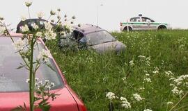 Po rūsčia išvaizda - meniška siela