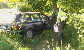 "Audi" sustabdė pakelės medis