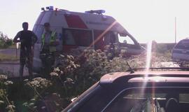 "Audi" sustabdė pakelės medis