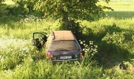 "Audi" sustabdė pakelės medis