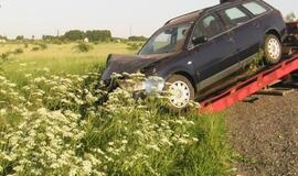 "Audi" sustabdė pakelės medis