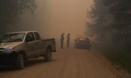 Gaisras Šilutės rajono durpyne