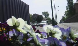 Po rūsčia išvaizda - meniška siela