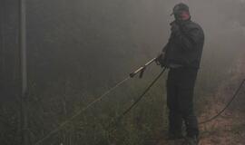 Gaisras Šilutės rajono durpyne