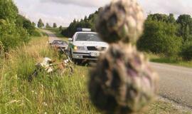 Po rūsčia išvaizda - meniška siela