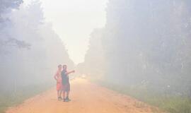 Gaisras Šilutės rajono durpyne