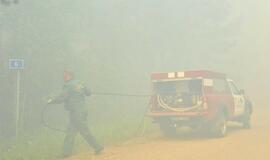 Gaisras Šilutės rajono durpyne