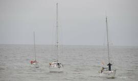 Šventosios uosto atidarymas