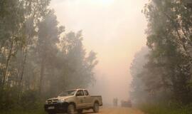 Gaisras Šilutės rajono durpyne