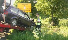 "Audi" sustabdė pakelės medis