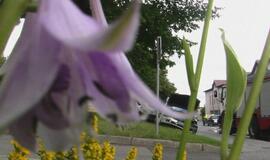 Po rūsčia išvaizda - meniška siela