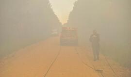 Gaisras Šilutės rajono durpyne