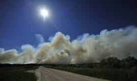 Gaisras Šilutės rajono durpyne