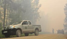 Gaisras Šilutės rajono durpyne