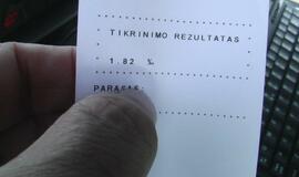 "Audi" rėžėsi į garažą