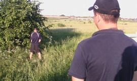 "Audi" sustabdė pakelės medis